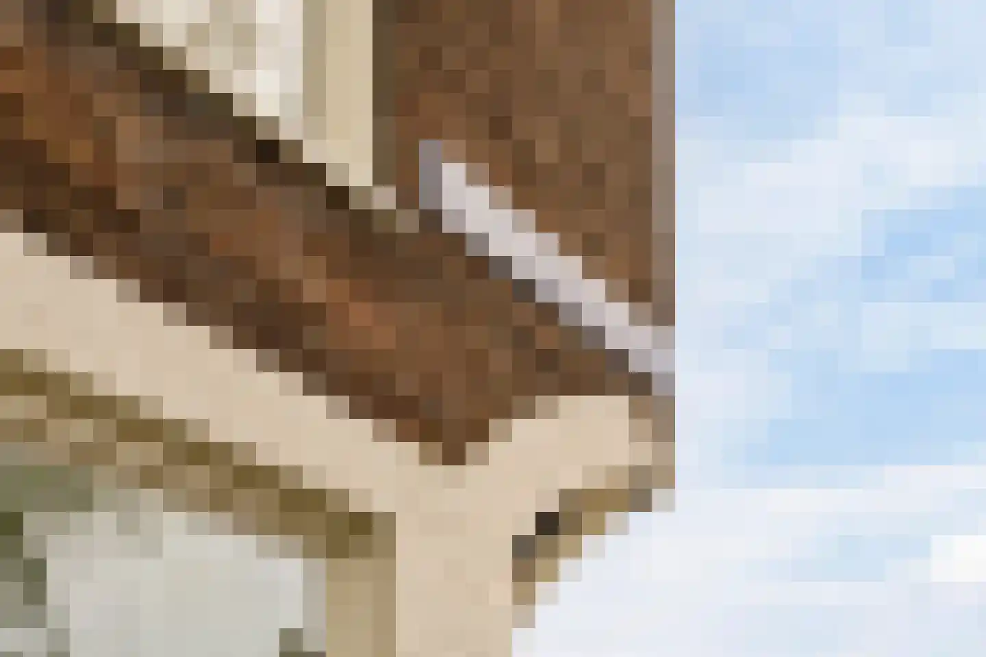Nieuwe Egelantiersstraat 2 C Amsterdam thumbnail 26