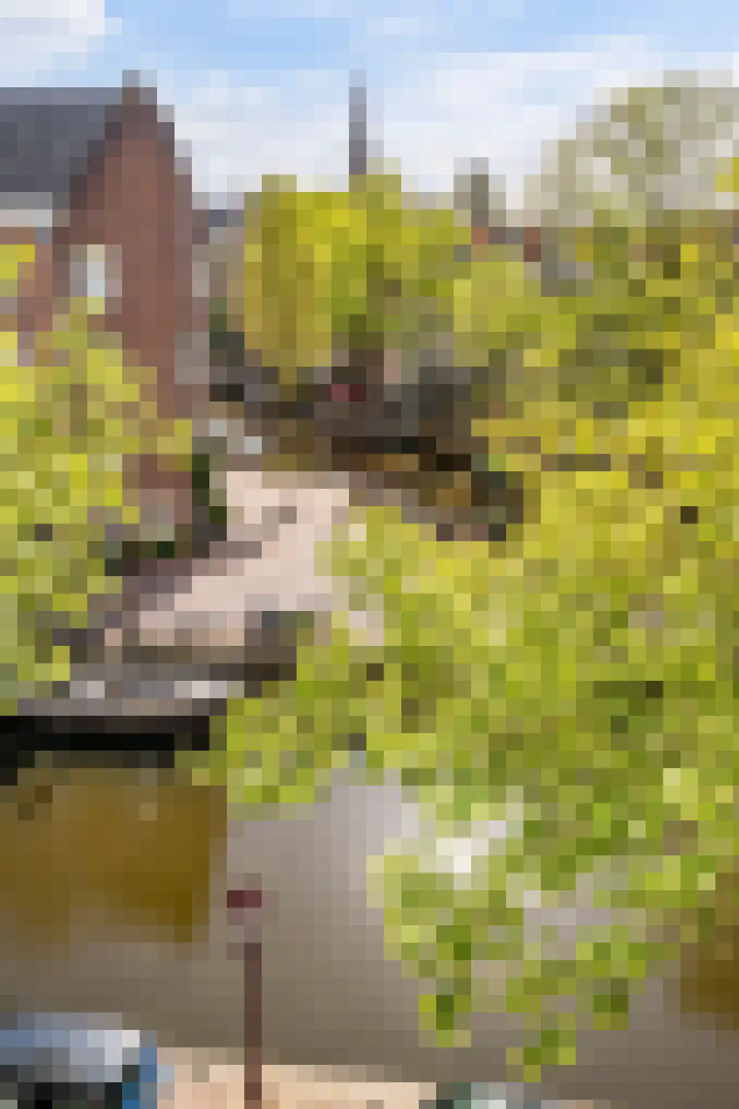 Nieuwe Egelantiersstraat 2 C Amsterdam thumbnail 27