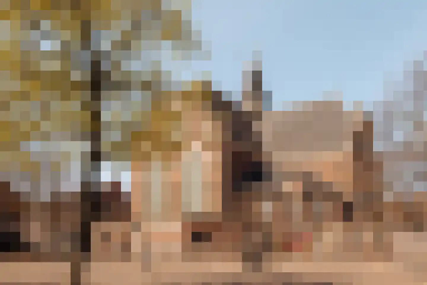 Nieuwe Egelantiersstraat 2 C Amsterdam thumbnail 31