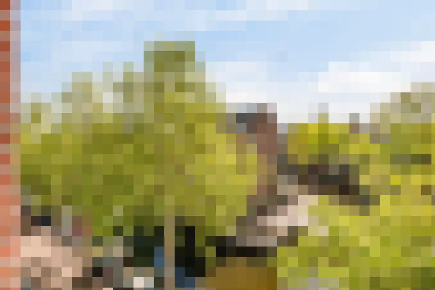 Nieuwe Egelantiersstraat 2 C Amsterdam thumbnail 8