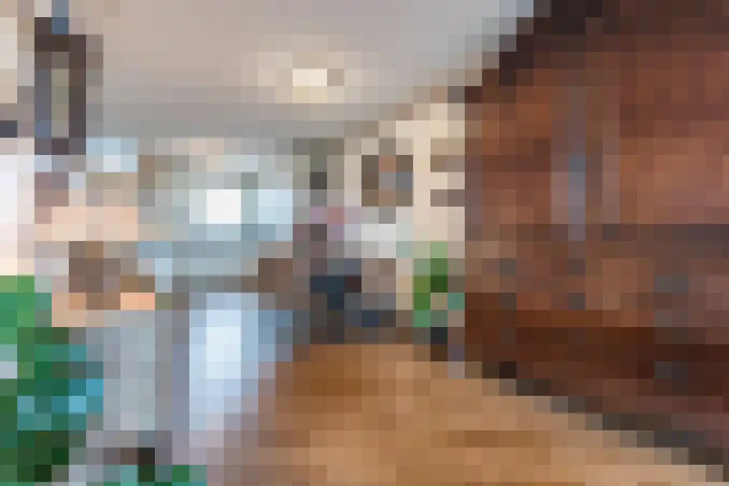 Nieuwe Egmonderstraatweg 27 Egmond aan den Hoef thumbnail 18