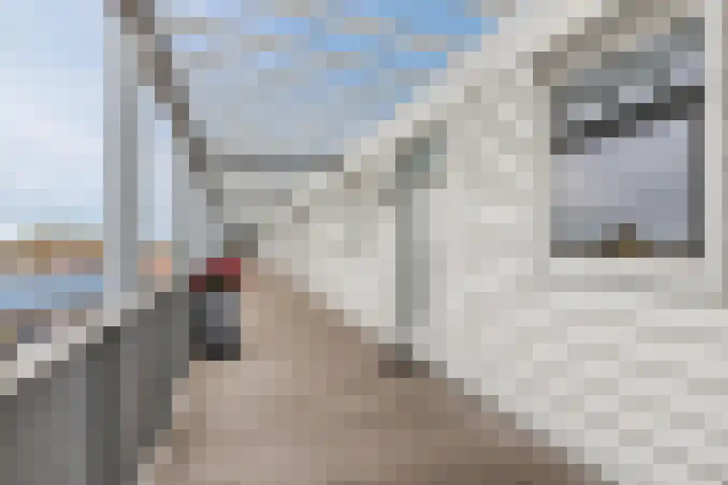 Nieuwe Egmonderstraatweg 27 Egmond aan den Hoef thumbnail 48