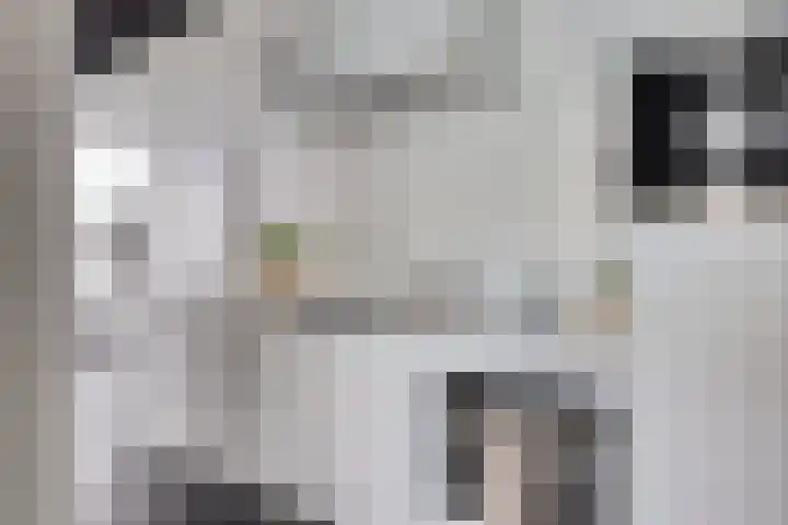 Nieuwe Emmasingel 1 41 Eindhoven thumbnail 11