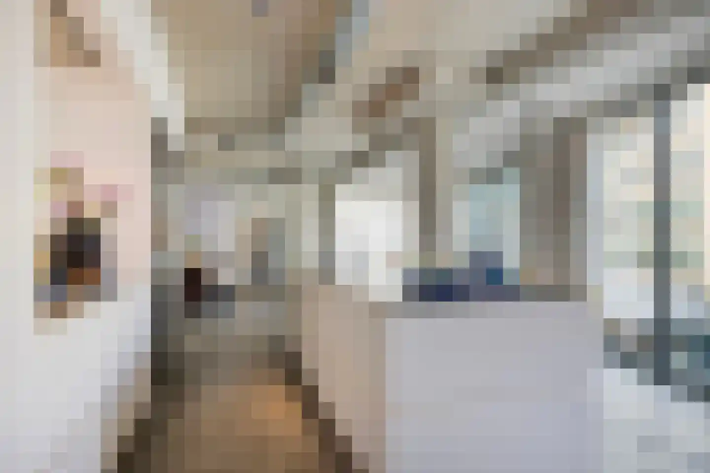 Nieuwe Emmasingel 17 Eindhoven thumbnail 13
