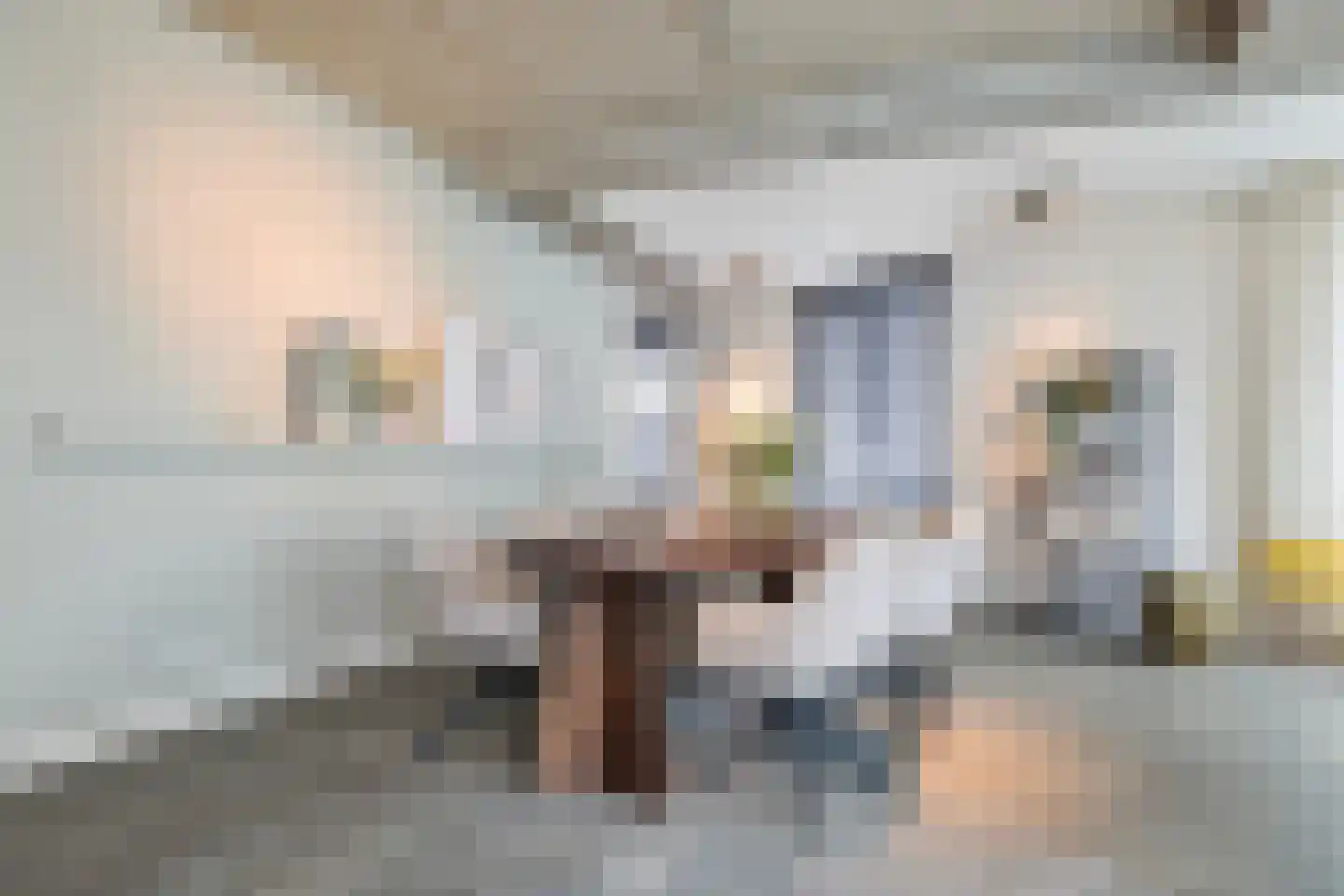 Nieuwe Emmasingel 17 Eindhoven thumbnail 22