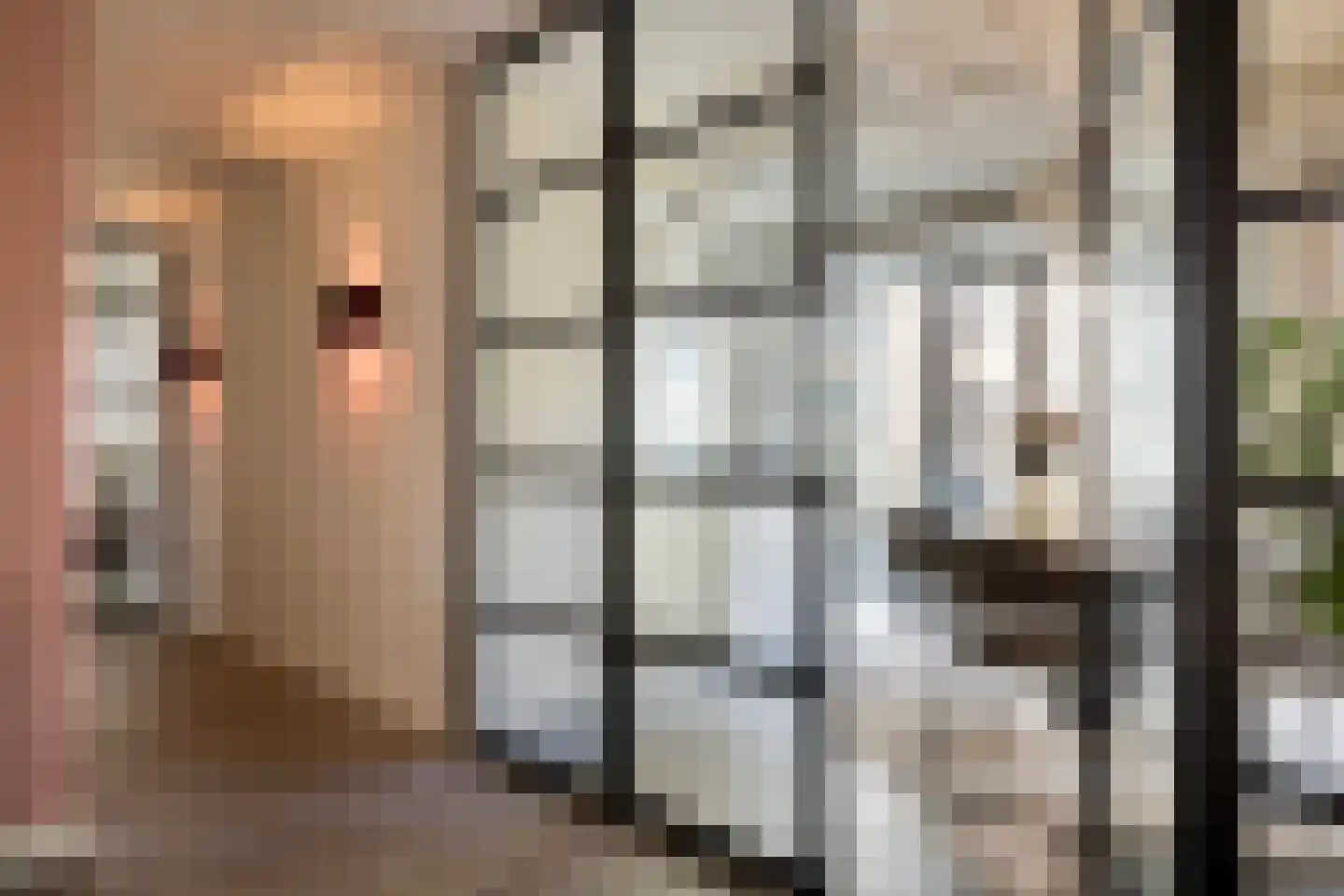 Nieuwe Emmasingel 17 Eindhoven thumbnail 7