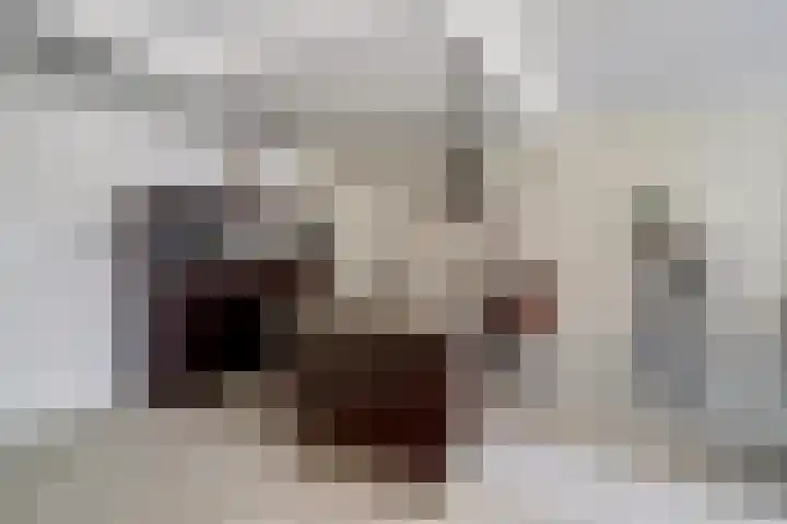 Nieuwe Emmasingel 62 Eindhoven thumbnail 33