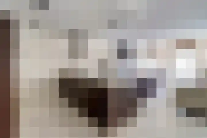 Nieuwe Emmasingel 62 Eindhoven thumbnail 8