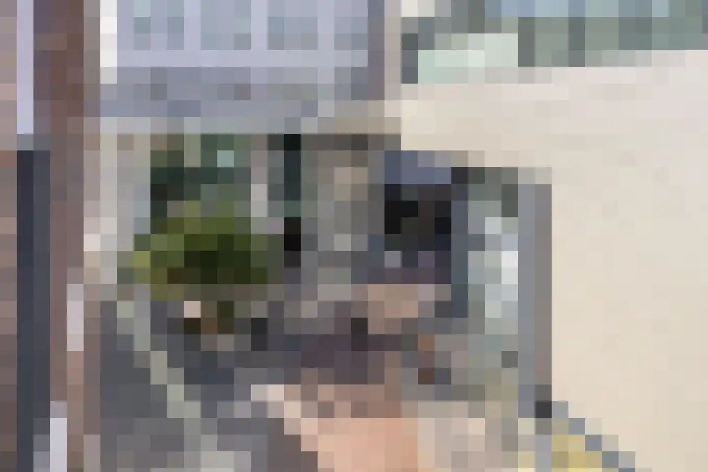 Nieuwe Emmasingel 84 Eindhoven thumbnail 13