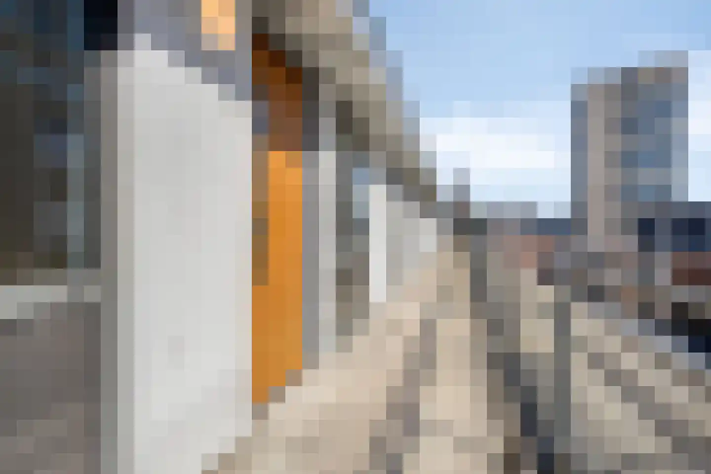 Nieuwe Emmasingel 84 Eindhoven thumbnail 5