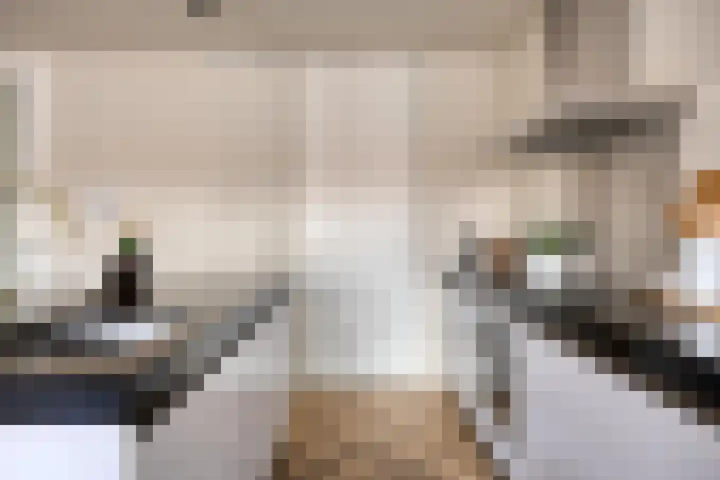 Nieuwe Emmasingel 88 Eindhoven thumbnail 18