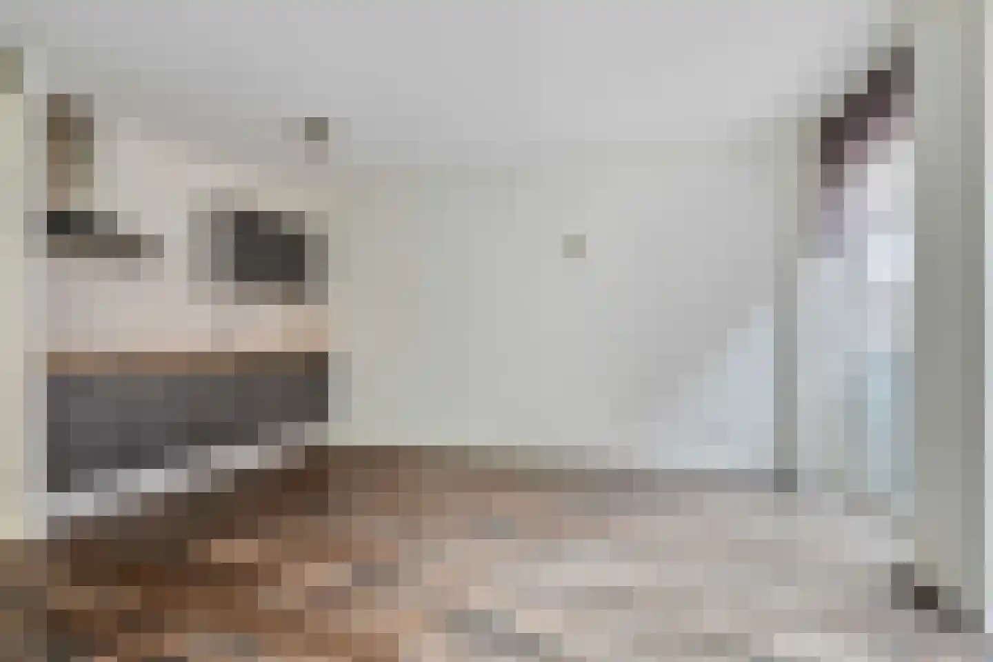 Nieuwe Emmasingel 91 Eindhoven thumbnail 8
