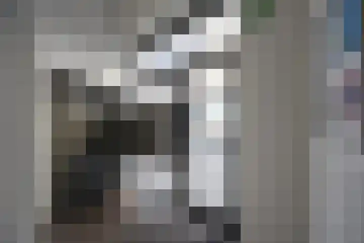 Nieuwe Emmasingel 97 Eindhoven thumbnail 6