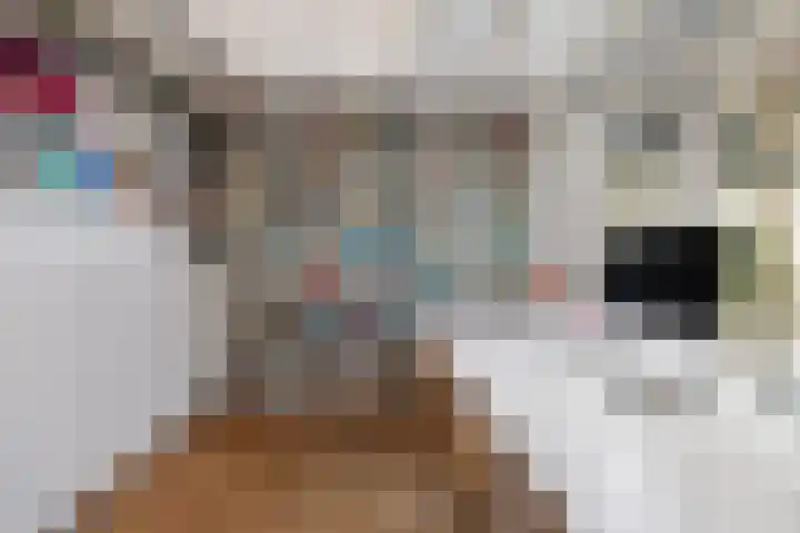 Nieuwe Englaan 11 Bussum thumbnail 13