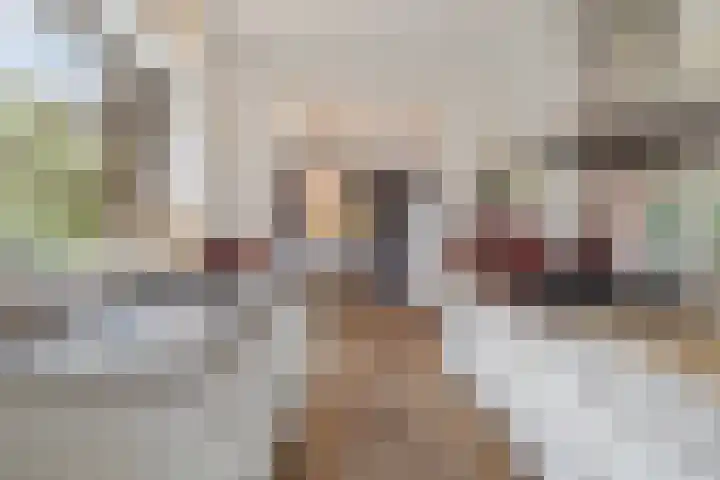 Nieuwe Englaan 11 Bussum thumbnail 14