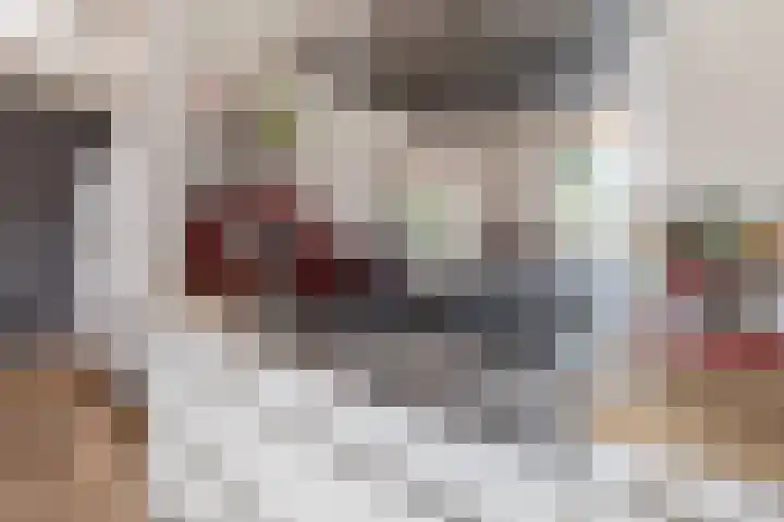Nieuwe Englaan 11 Bussum thumbnail 15