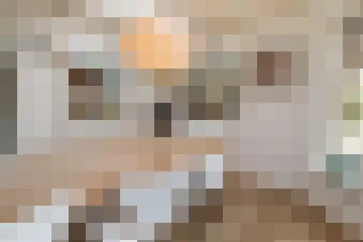 Nieuwe Englaan 11 Bussum thumbnail 17