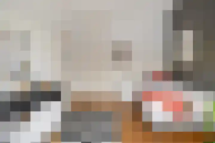 Nieuwe Englaan 11 Bussum thumbnail 25