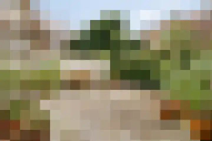 Nieuwe Englaan 11 Bussum thumbnail 31