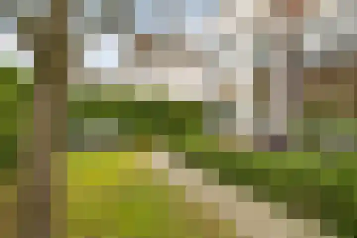 Nieuwe Englaan 11 Bussum thumbnail 4