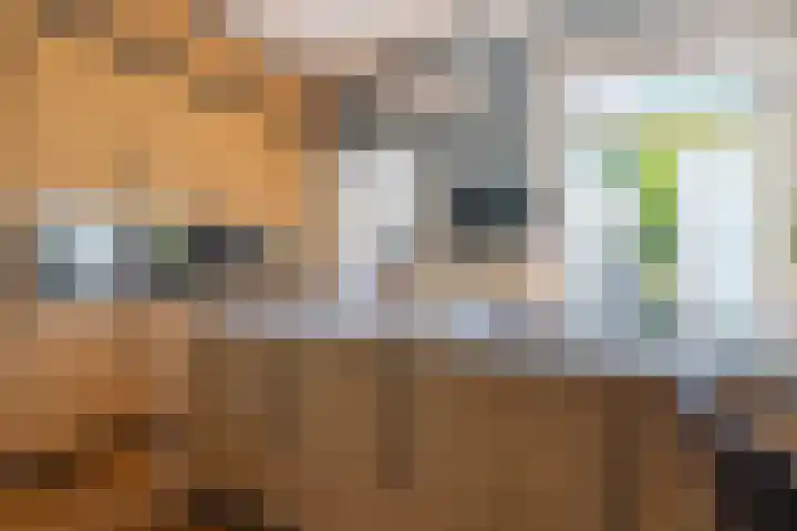 Nieuwe Englaan 17 Bussum thumbnail 14
