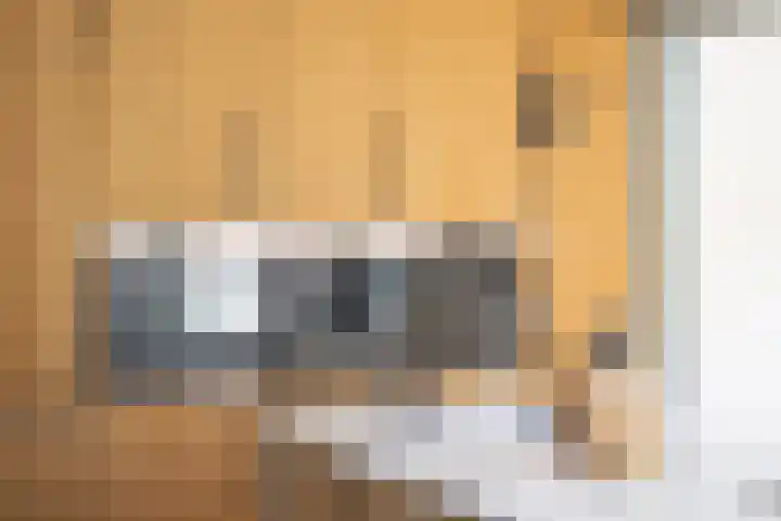 Nieuwe Englaan 17 Bussum thumbnail 15