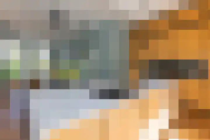 Nieuwe Englaan 17 Bussum thumbnail 16