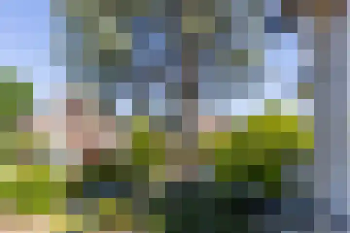 Nieuwe Englaan 17 Bussum thumbnail 37