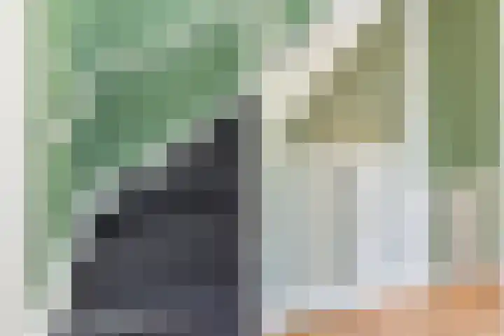Nieuwe Englaan 17 Bussum thumbnail 38