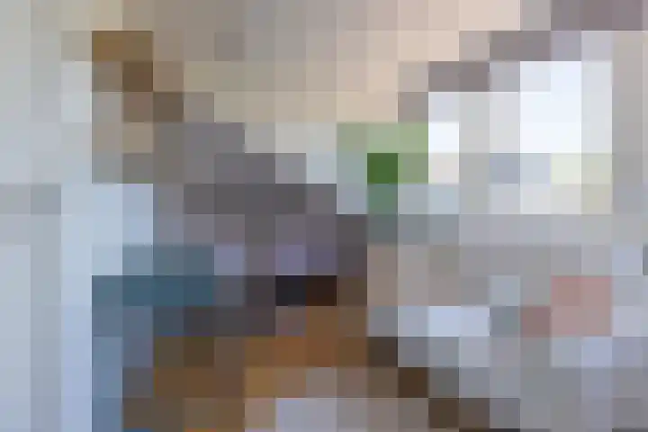 Nieuwe Englaan 17 Bussum thumbnail 43