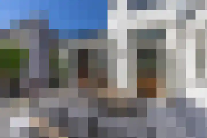 Nieuwe Englaan 17 Bussum thumbnail 45