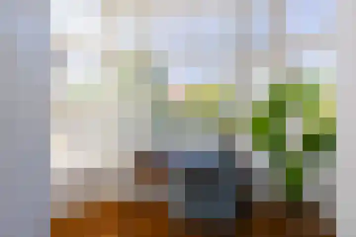 Nieuwe Englaan 17 Bussum thumbnail 6