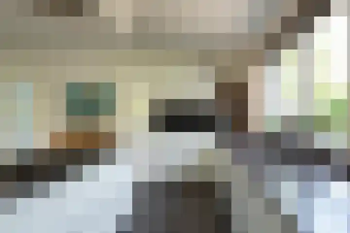 Nieuwe Erven 12 Haaren thumbnail 12