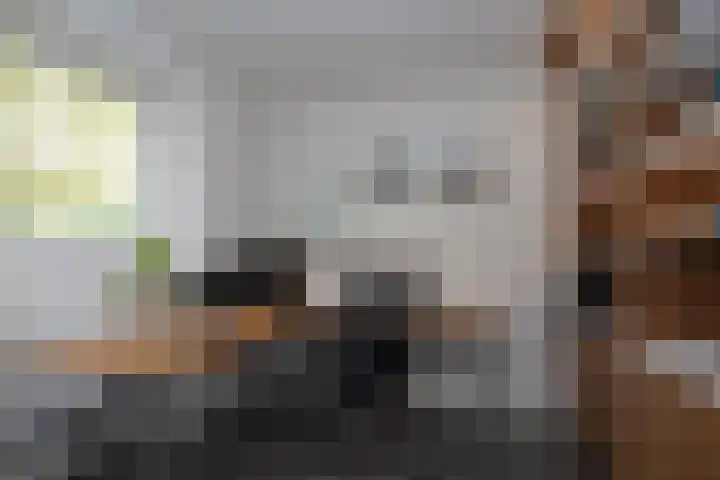 Nieuwe Erven 12 Haaren thumbnail 17