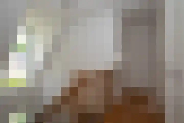 Nieuwe Erven 12 Haaren thumbnail 18
