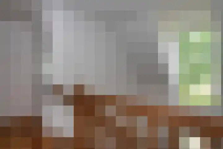 Nieuwe Erven 12 Haaren thumbnail 19