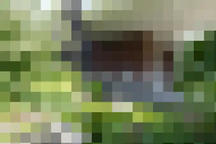 Nieuwe Erven 12 Haaren thumbnail 30
