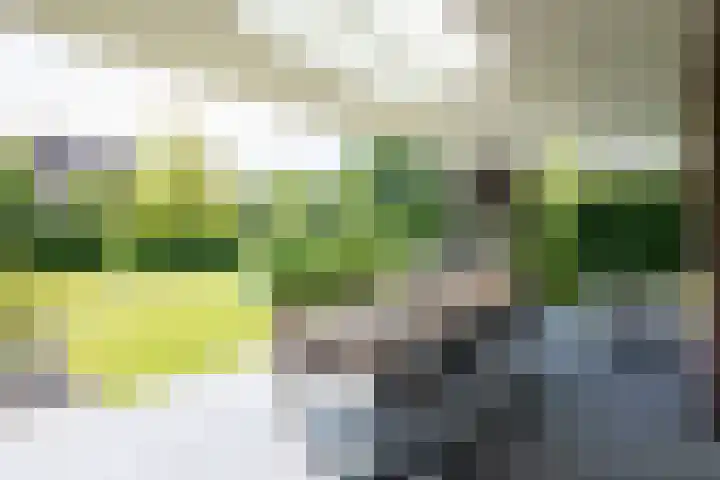 Nieuwe Erven 12 Haaren thumbnail 32