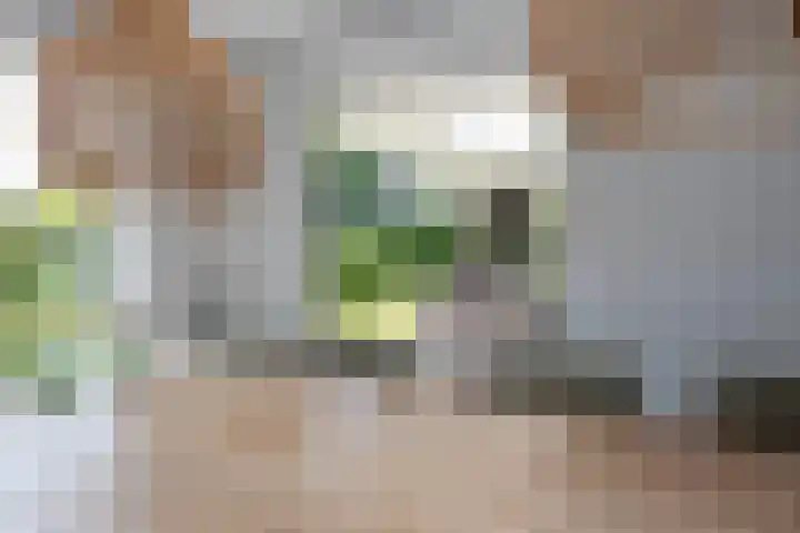 Nieuwe Erven 12 Haaren thumbnail 33
