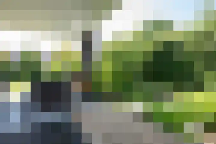 Nieuwe Erven 12 Haaren thumbnail 35