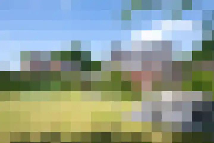 Nieuwe Erven 12 Haaren thumbnail 36