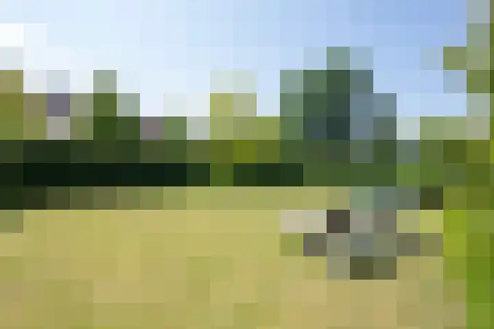 Nieuwe Erven 12 Haaren thumbnail 37