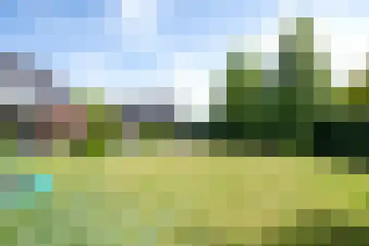 Nieuwe Erven 12 Haaren thumbnail 38