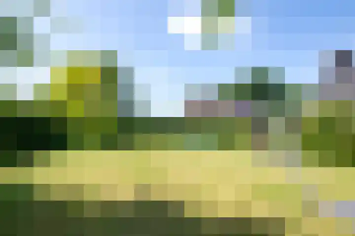 Nieuwe Erven 12 Haaren thumbnail 39