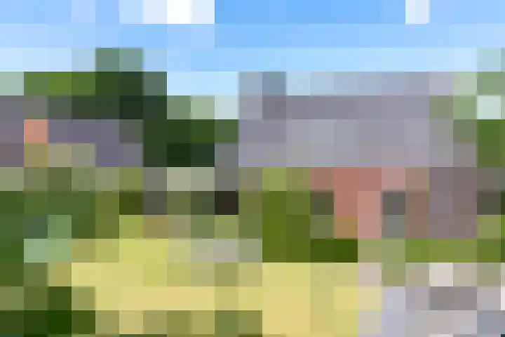 Nieuwe Erven 12 Haaren thumbnail 42