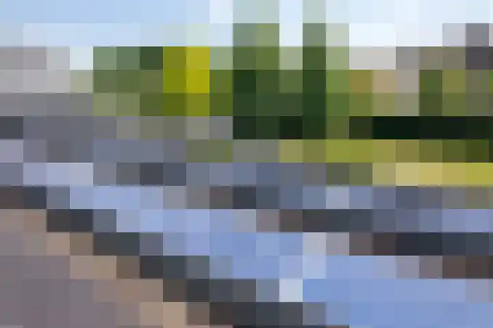 Nieuwe Erven 12 Haaren thumbnail 43