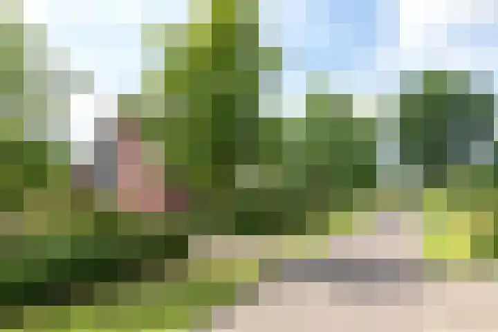 Nieuwe Erven 12 Haaren thumbnail 45