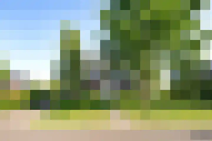 Nieuwe Erven 12 Haaren thumbnail 46