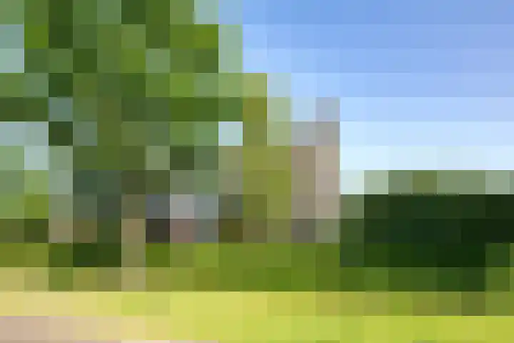 Nieuwe Erven 12 Haaren thumbnail 47