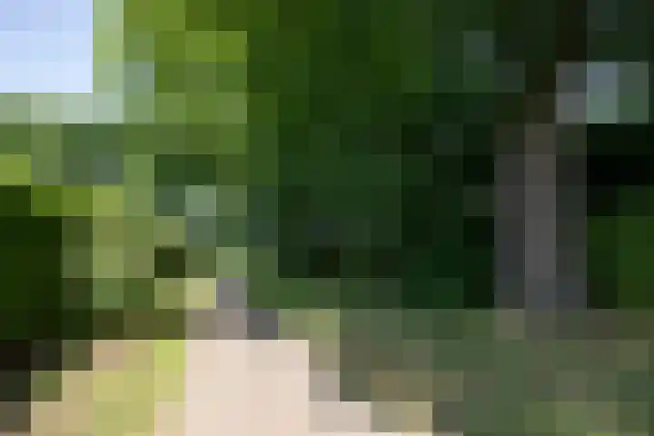 Nieuwe Erven 12 Haaren thumbnail 48